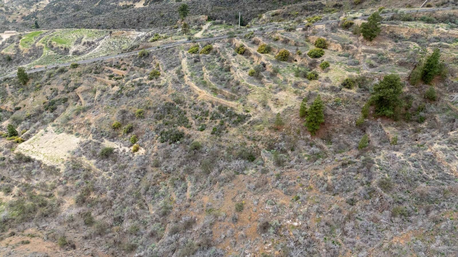 Undeveloped Land for sale in Fasnia - € 32,500 (Ref: 9975783)