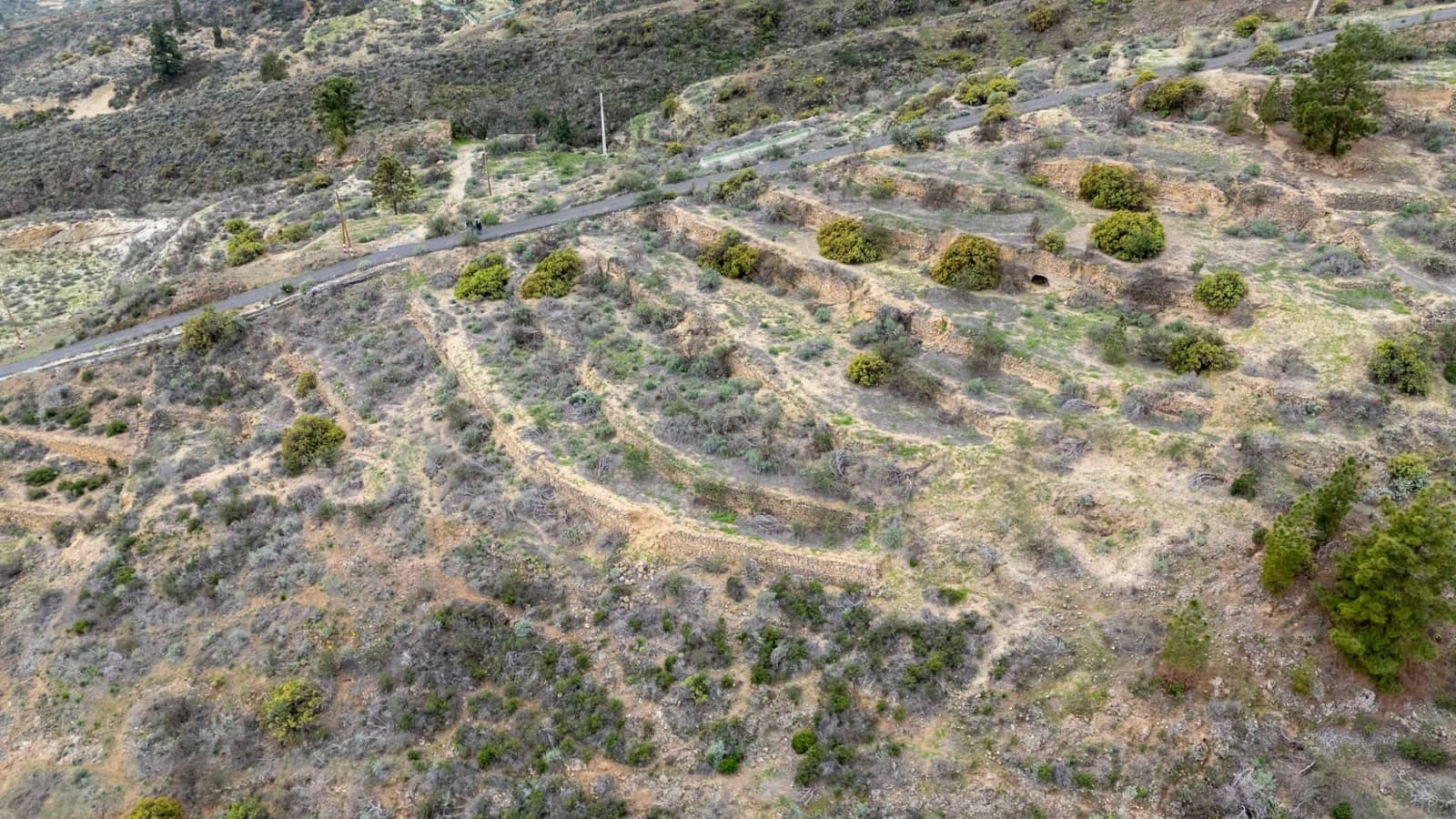 Undeveloped Land for sale in Fasnia - € 32,500 (Ref: 9975783)