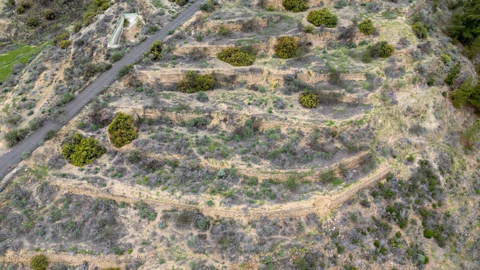 Undeveloped Land for sale in Fasnia - € 32,500 (Ref: 9975783)