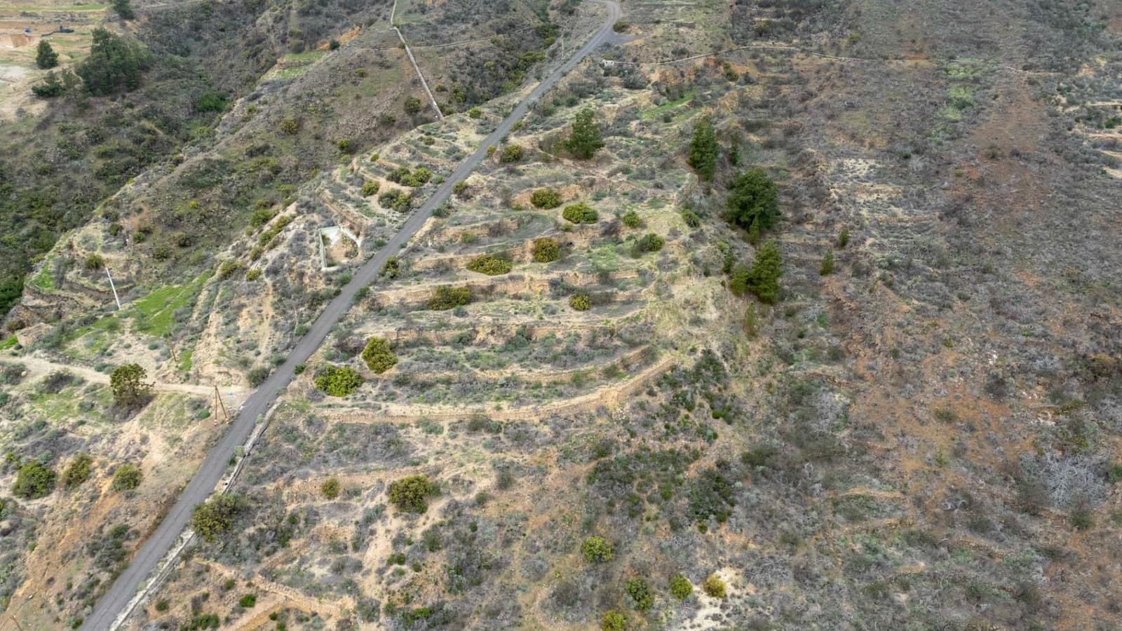 Undeveloped Land for sale in Fasnia - € 32,500 (Ref: 9975783)