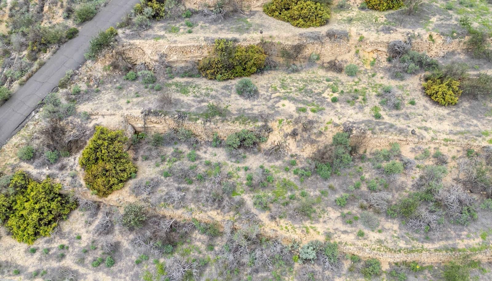 Undeveloped Land for sale in Fasnia - € 32,500 (Ref: 9975783)