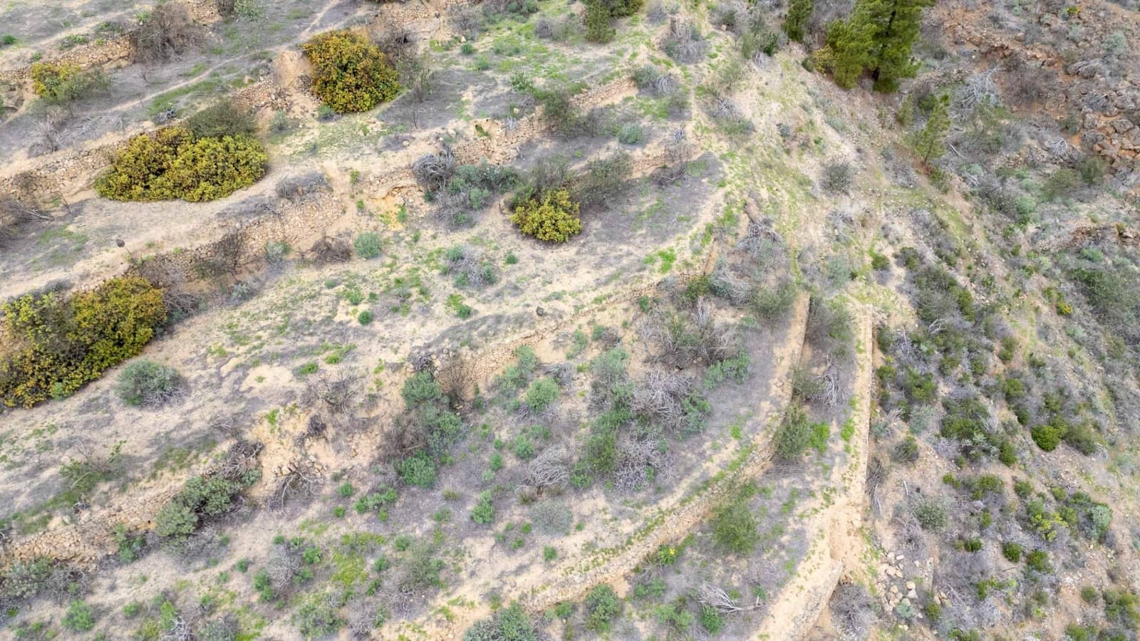 Undeveloped Land for sale in Fasnia - € 32,500 (Ref: 9975783)