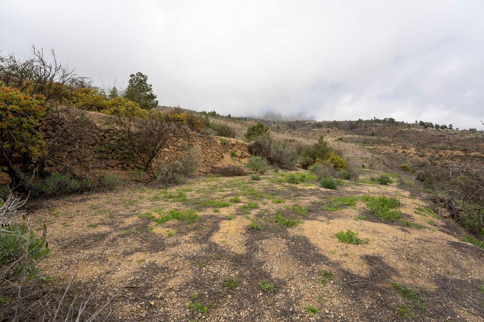 Undeveloped Land for sale in Fasnia - € 32,500 (Ref: 9975783)
