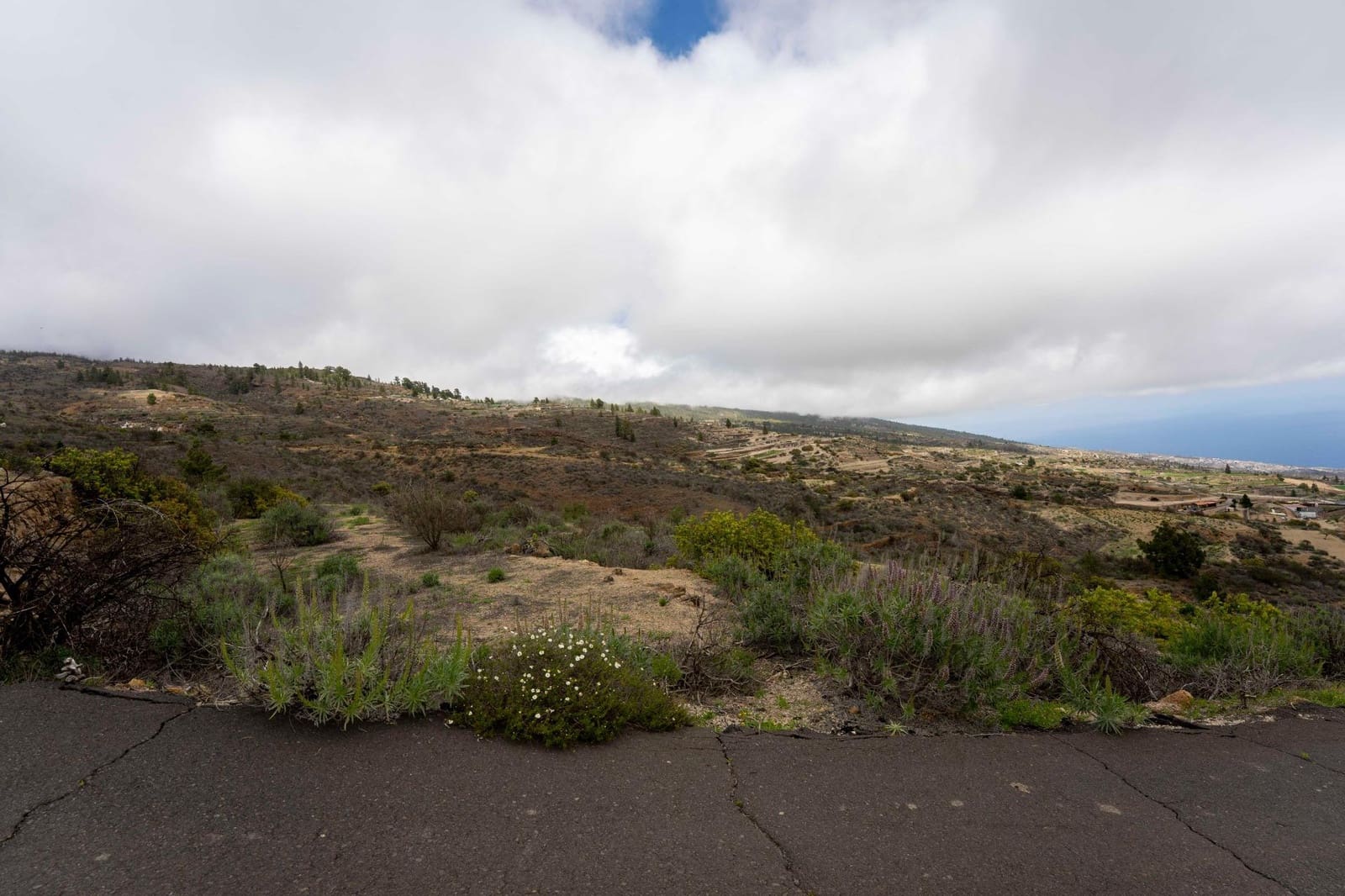Undeveloped Land for sale in Fasnia - € 32,500 (Ref: 9975783)