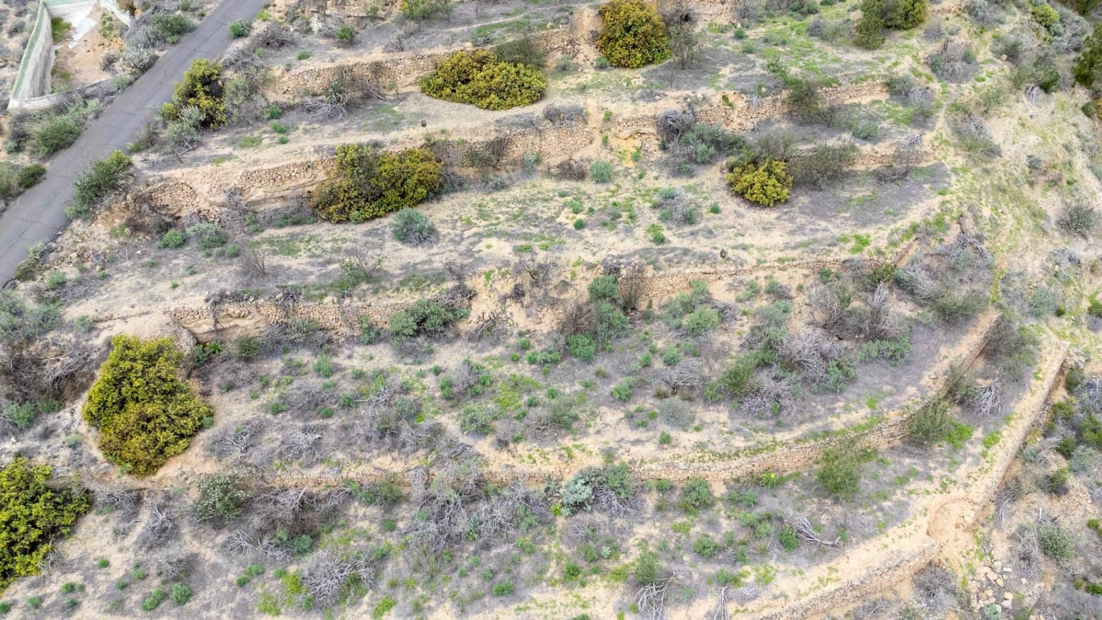 Undeveloped Land for sale in Fasnia - € 32,500 (Ref: 9975783)
