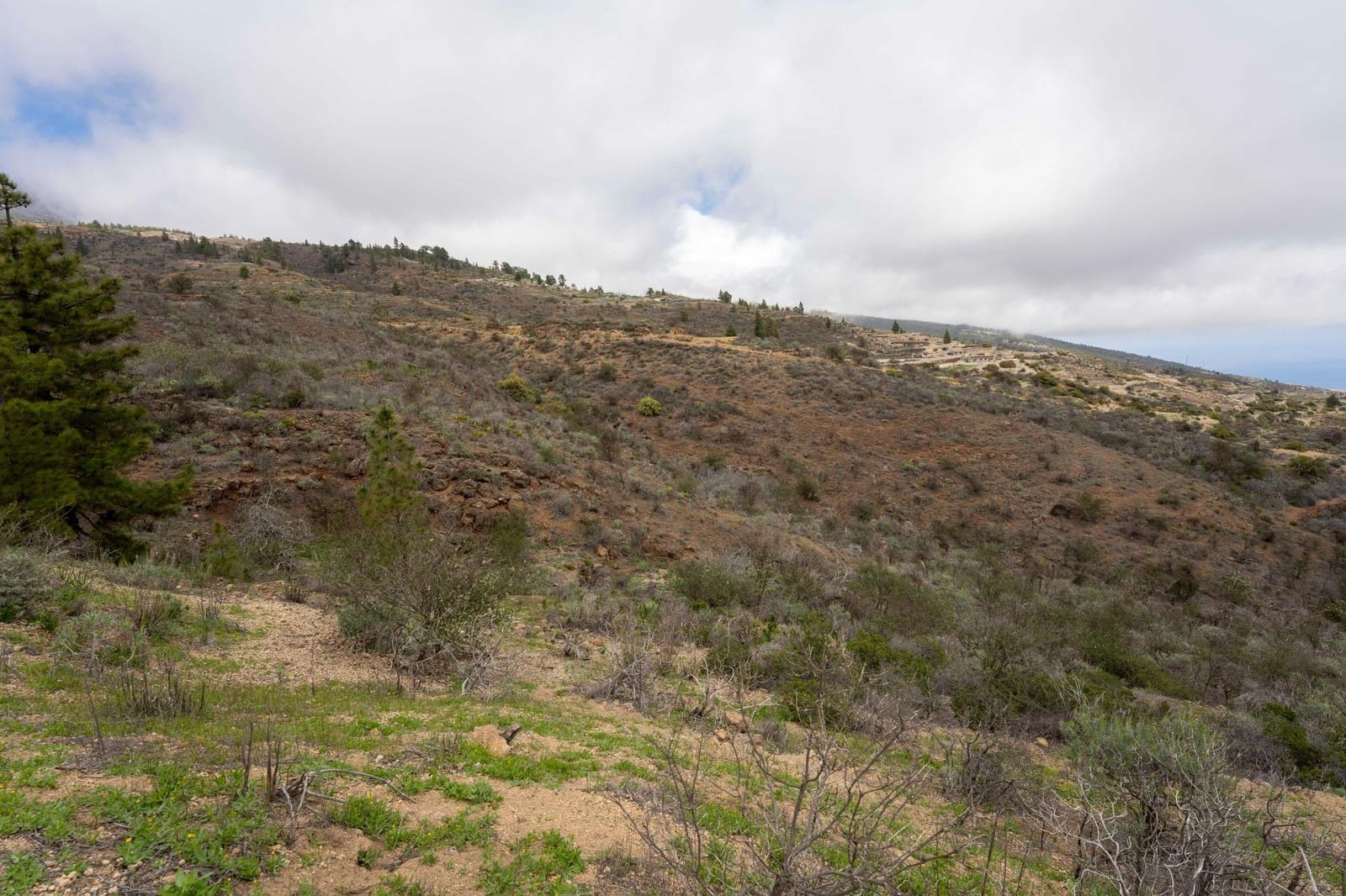 Undeveloped Land for sale in Fasnia - € 32,500 (Ref: 9975783)