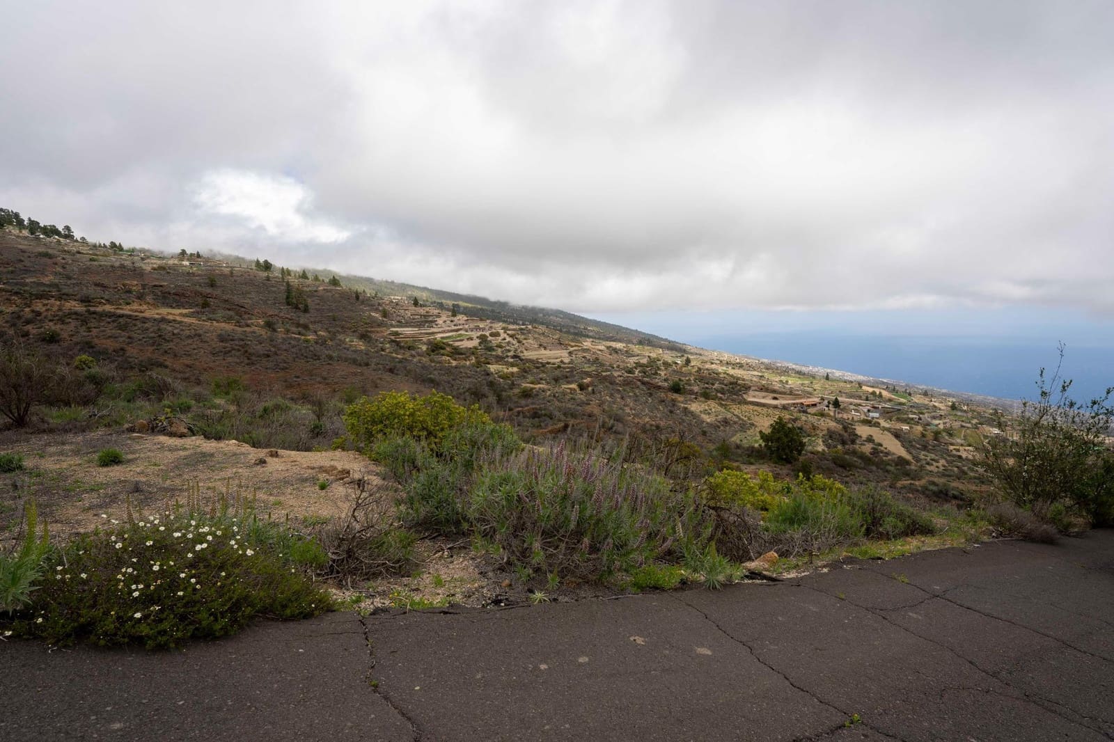 Undeveloped Land for sale in Fasnia - € 32,500 (Ref: 9975783)