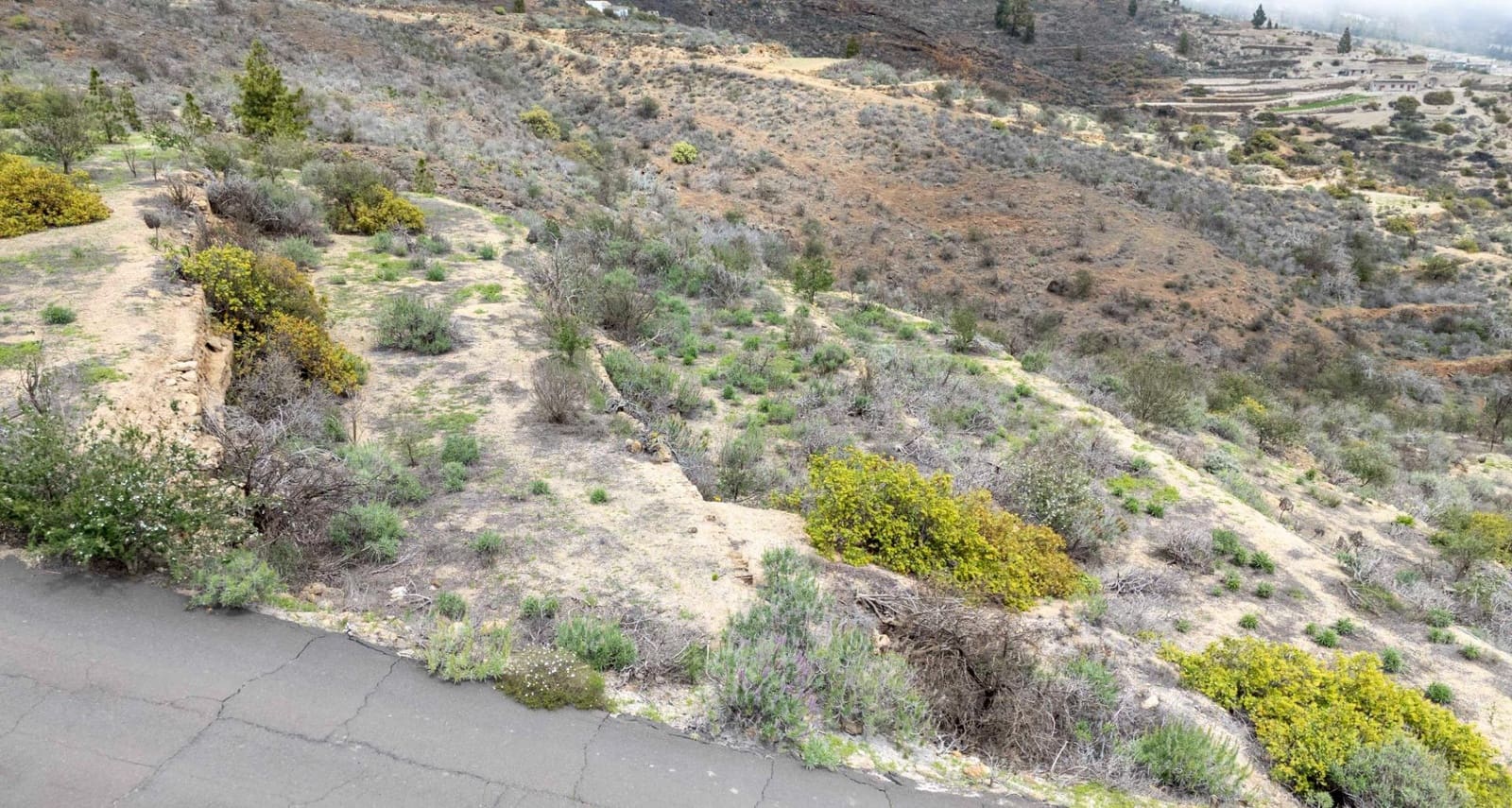 Undeveloped Land for sale in Fasnia - € 32,500 (Ref: 9975783)