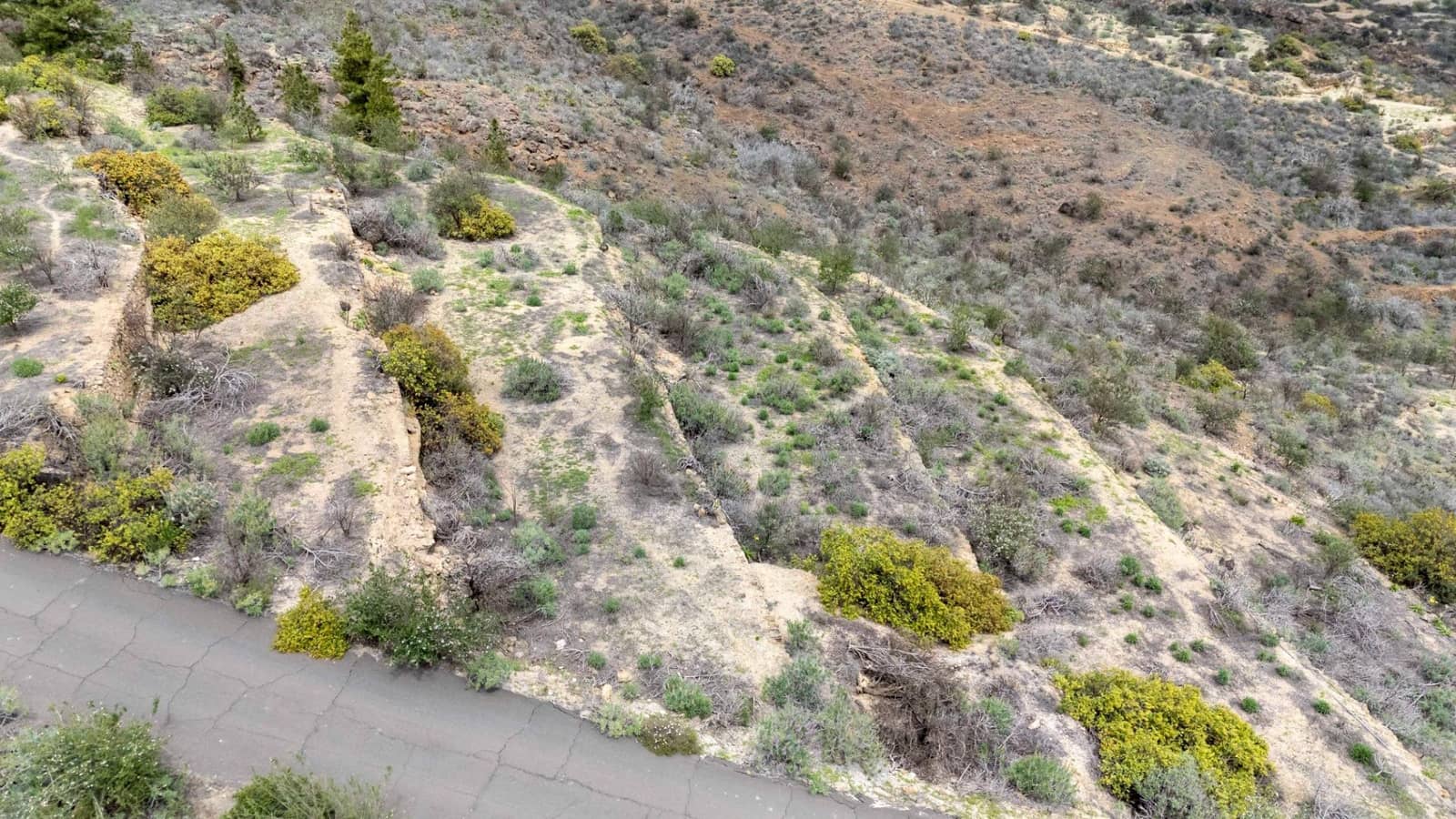 Undeveloped Land for sale in Fasnia - € 32,500 (Ref: 9975783)
