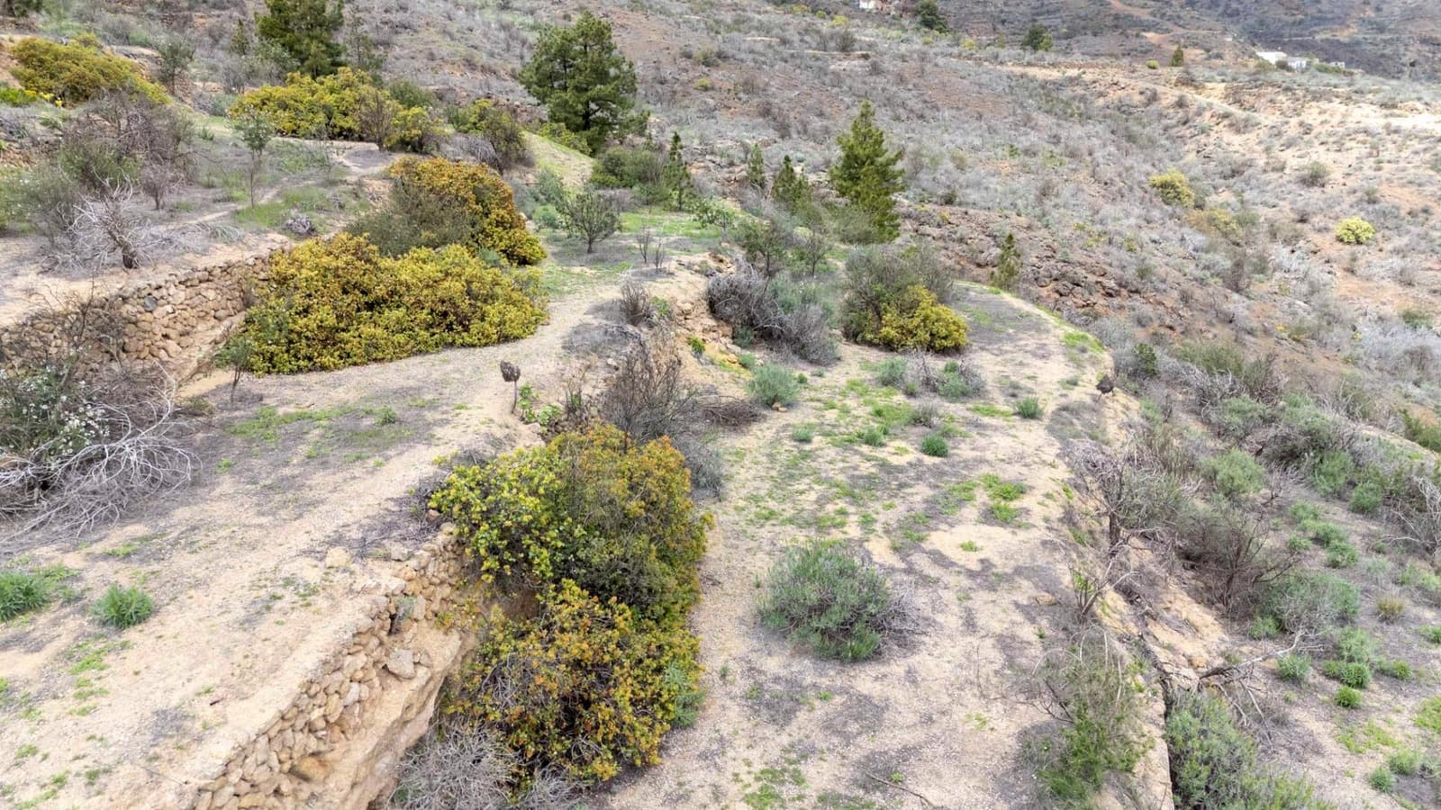 Undeveloped Land for sale in Fasnia - € 32,500 (Ref: 9975783)