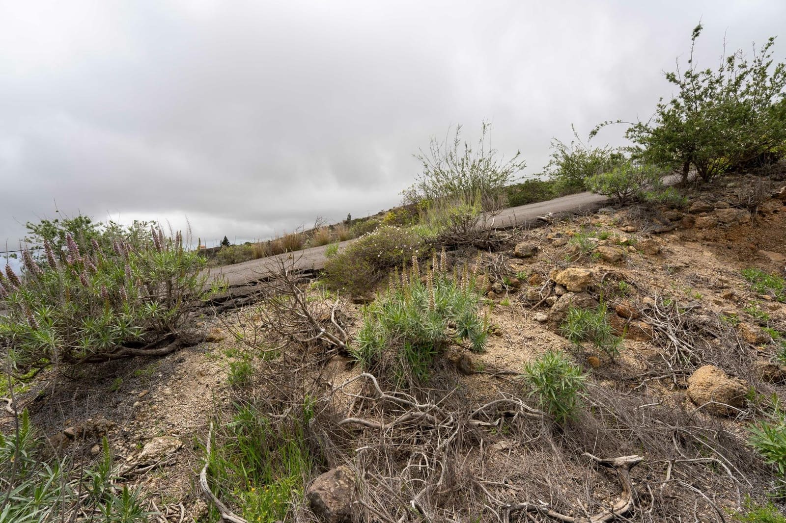 Undeveloped Land for sale in Fasnia - € 32,500 (Ref: 9975783)