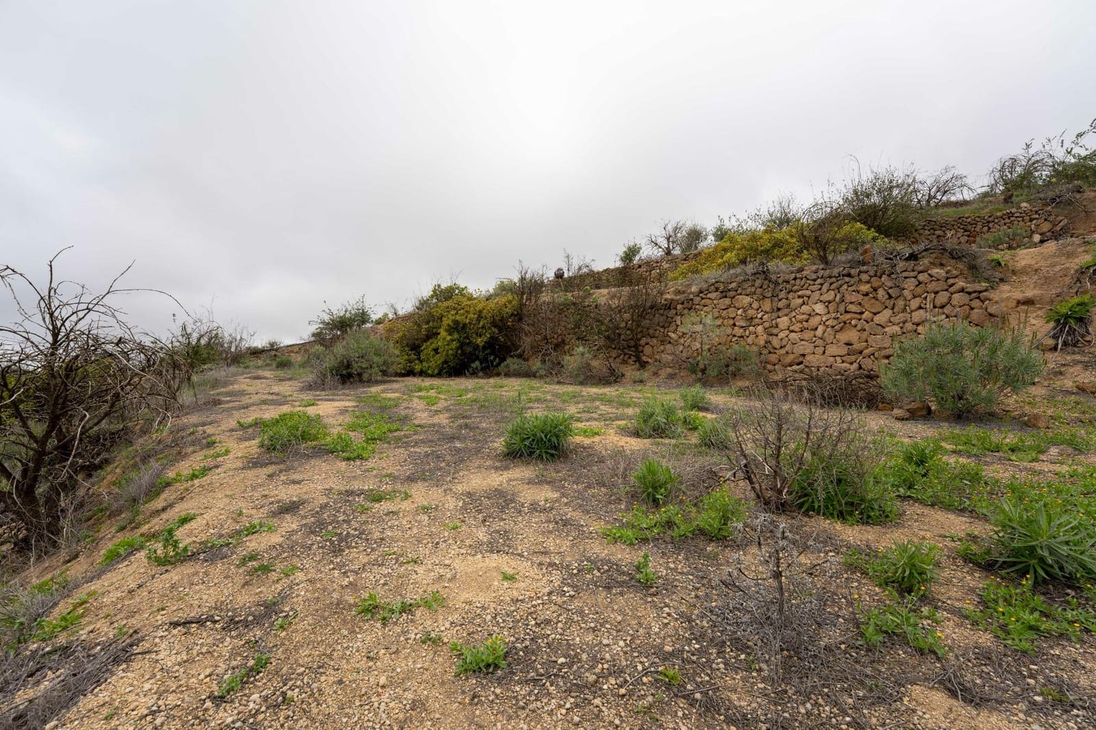 Undeveloped Land for sale in Fasnia - € 32,500 (Ref: 9975783)