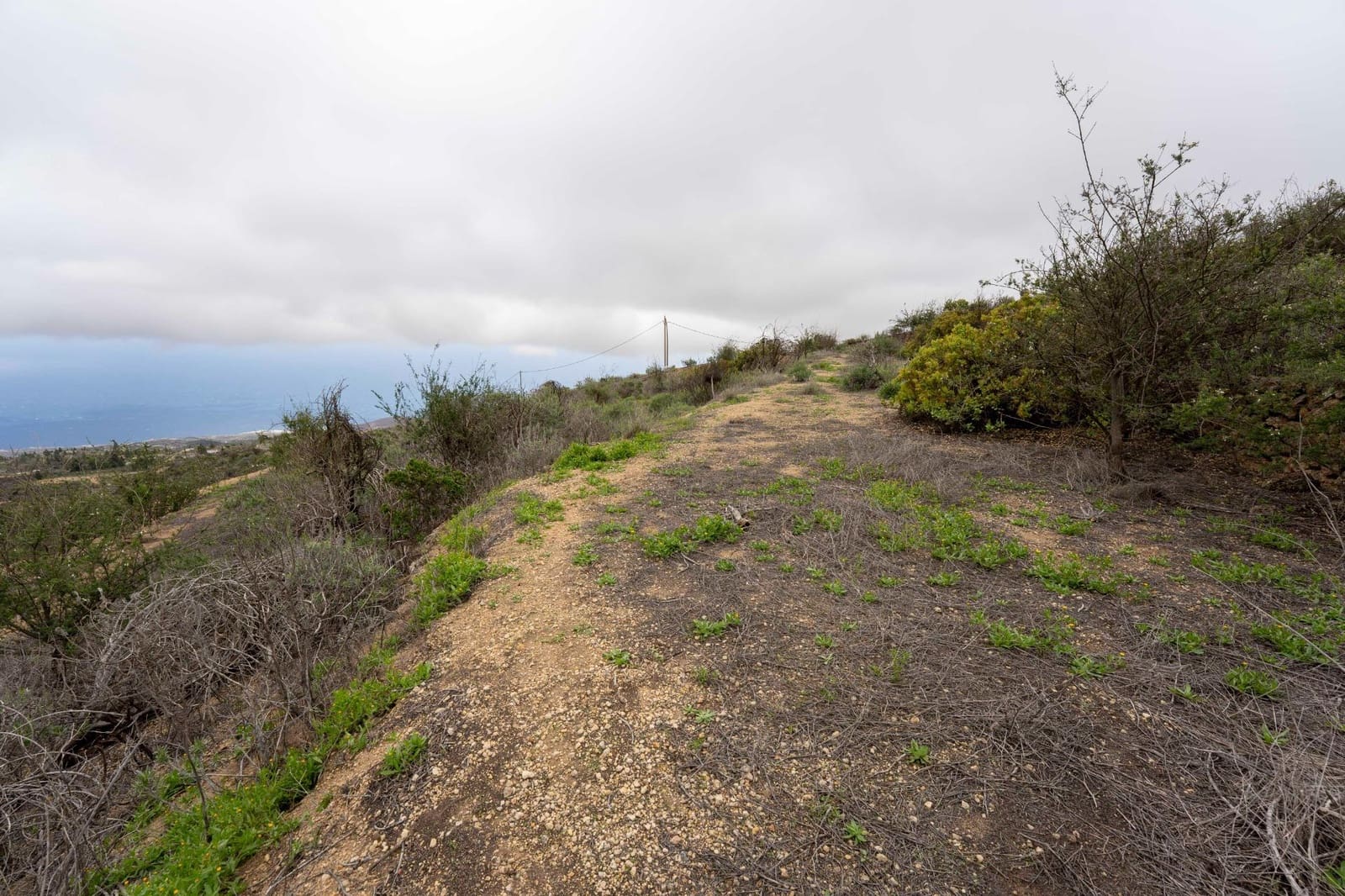 Undeveloped Land for sale in Fasnia - € 32,500 (Ref: 9975783)