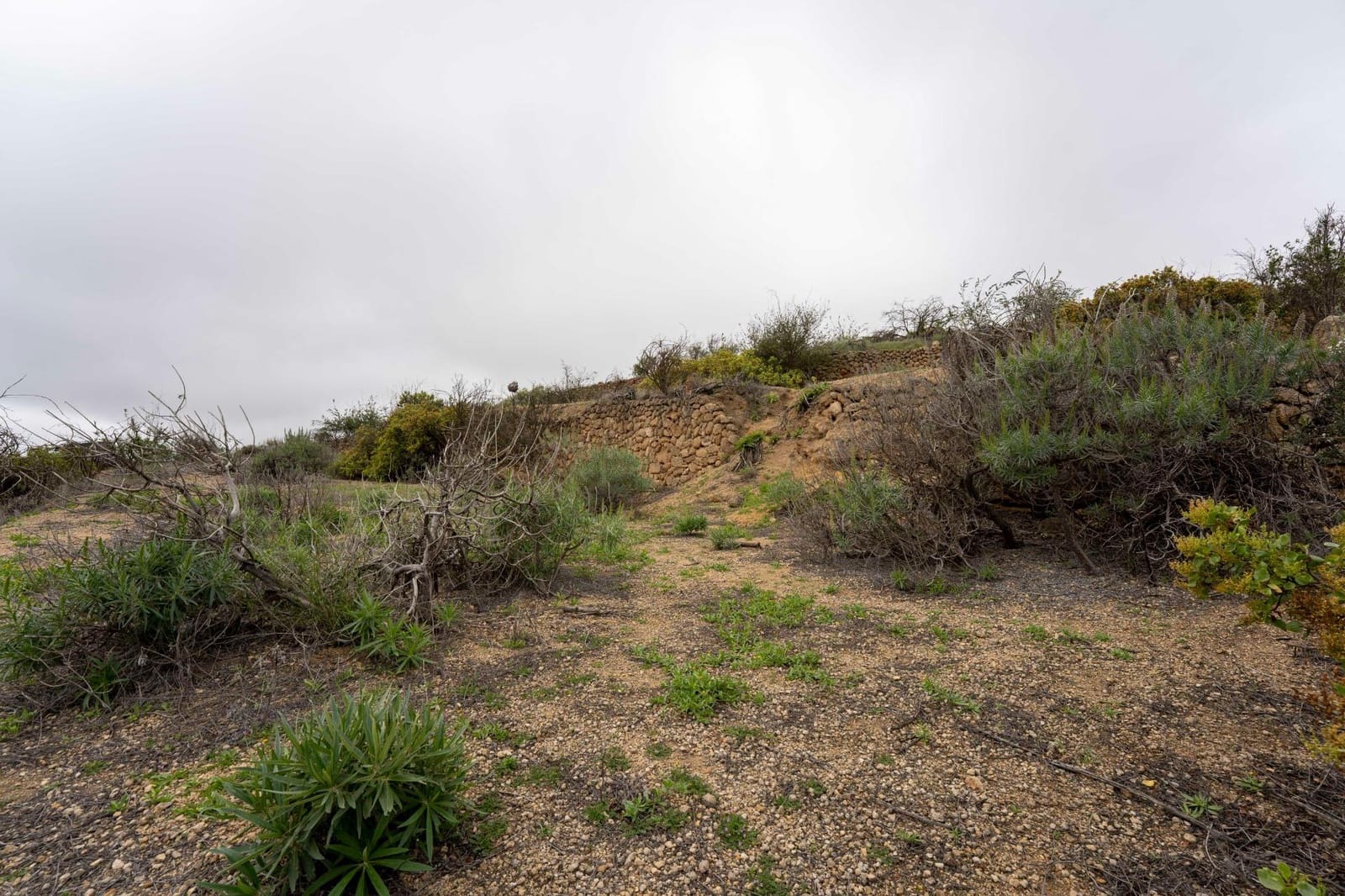 Undeveloped Land for sale in Fasnia - € 32,500 (Ref: 9975783)