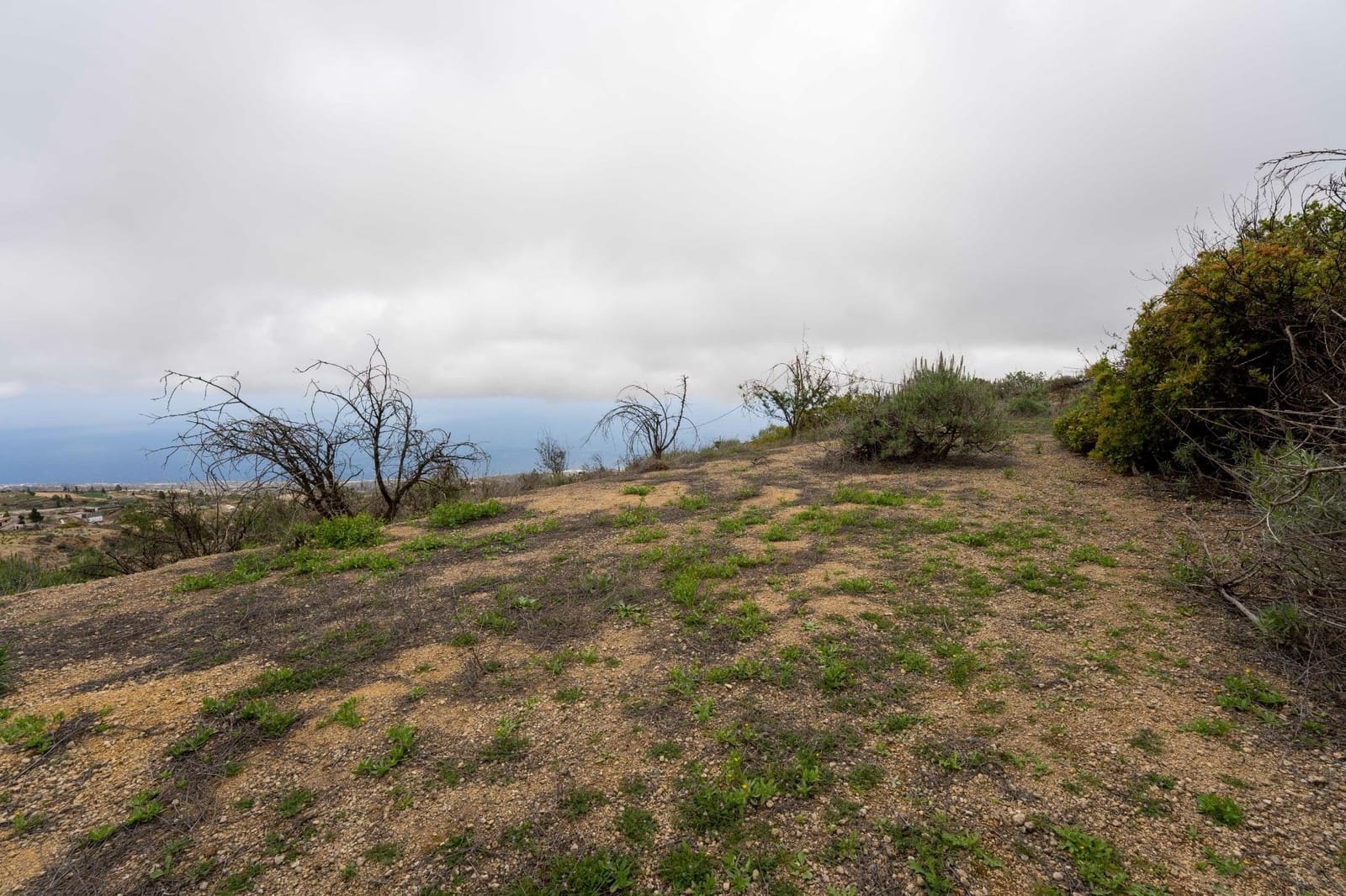 Undeveloped Land for sale in Fasnia - € 32,500 (Ref: 9975783)