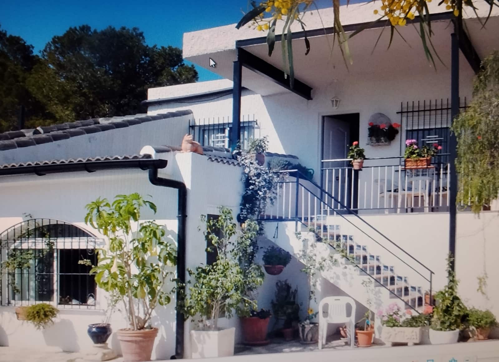 5 slaapkamer Finca/Landhuis te koop in Crevillente / Crevillent met zwembad garage - € 300.000 (Ref: 9964535)