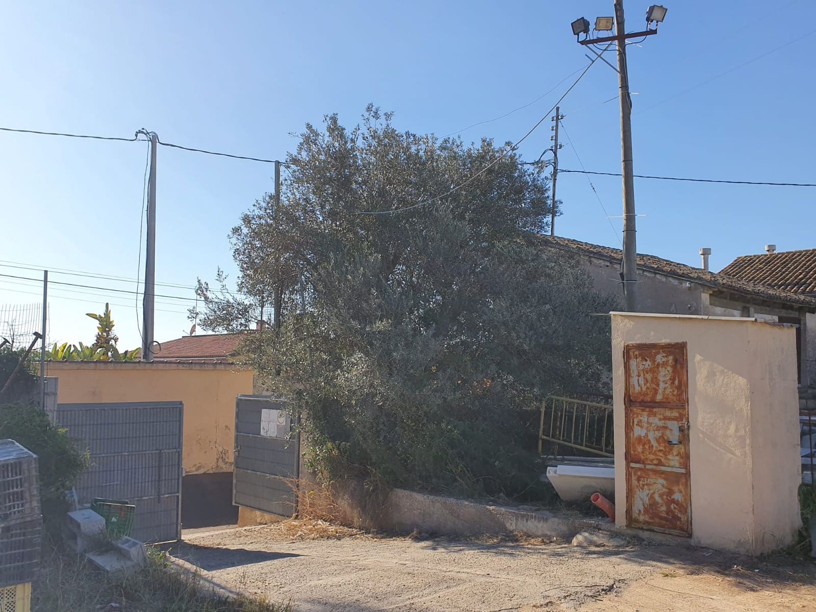 Mark till salu i Benicull - 80 000 € (Ref: 9989983)