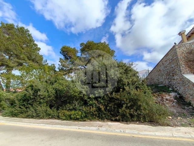 Bouwgrond te koop in Alayor / Alaior - € 295.000 (Ref: 9975054)