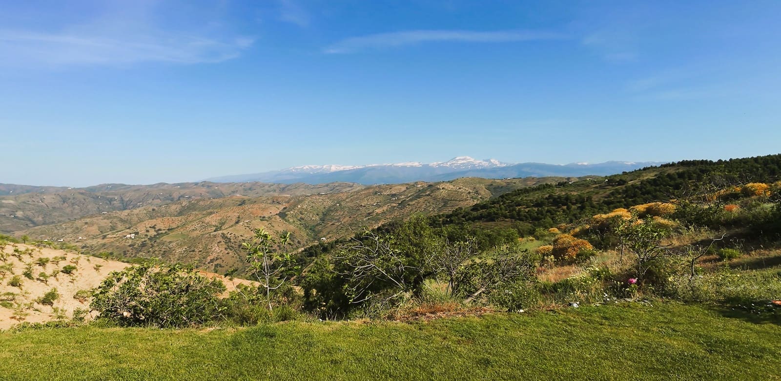 5 soverom Finca/Herregård til salgs i Murtas med svømmebasseng garasje - € 460 000 (Ref: 9971416)