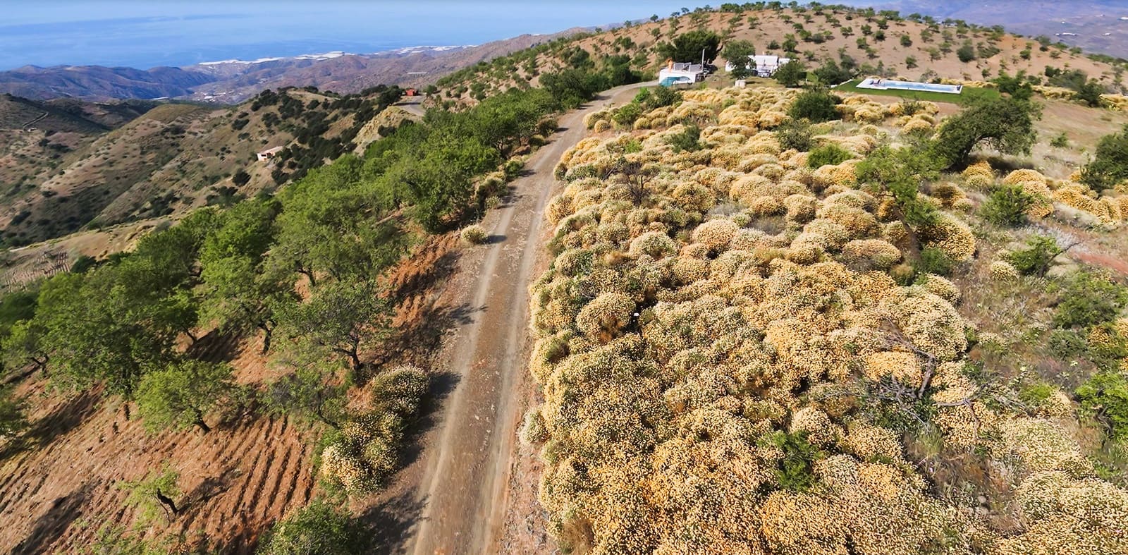 5 soverom Finca/Herregård til salgs i Murtas med svømmebasseng garasje - € 460 000 (Ref: 9971416)