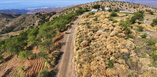 5 chambre Finca/Maison de Campagne à vendre à Murtas avec piscine garage - 460 000 € (Ref: 9971416)