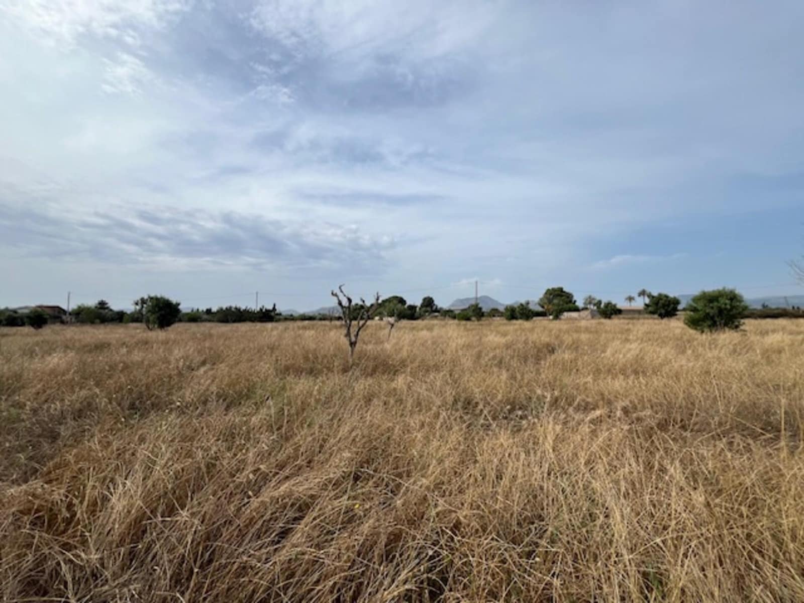 Terreno Não Urbanizado para venda em Cartagena - 200 000 € (Ref: 10094659)