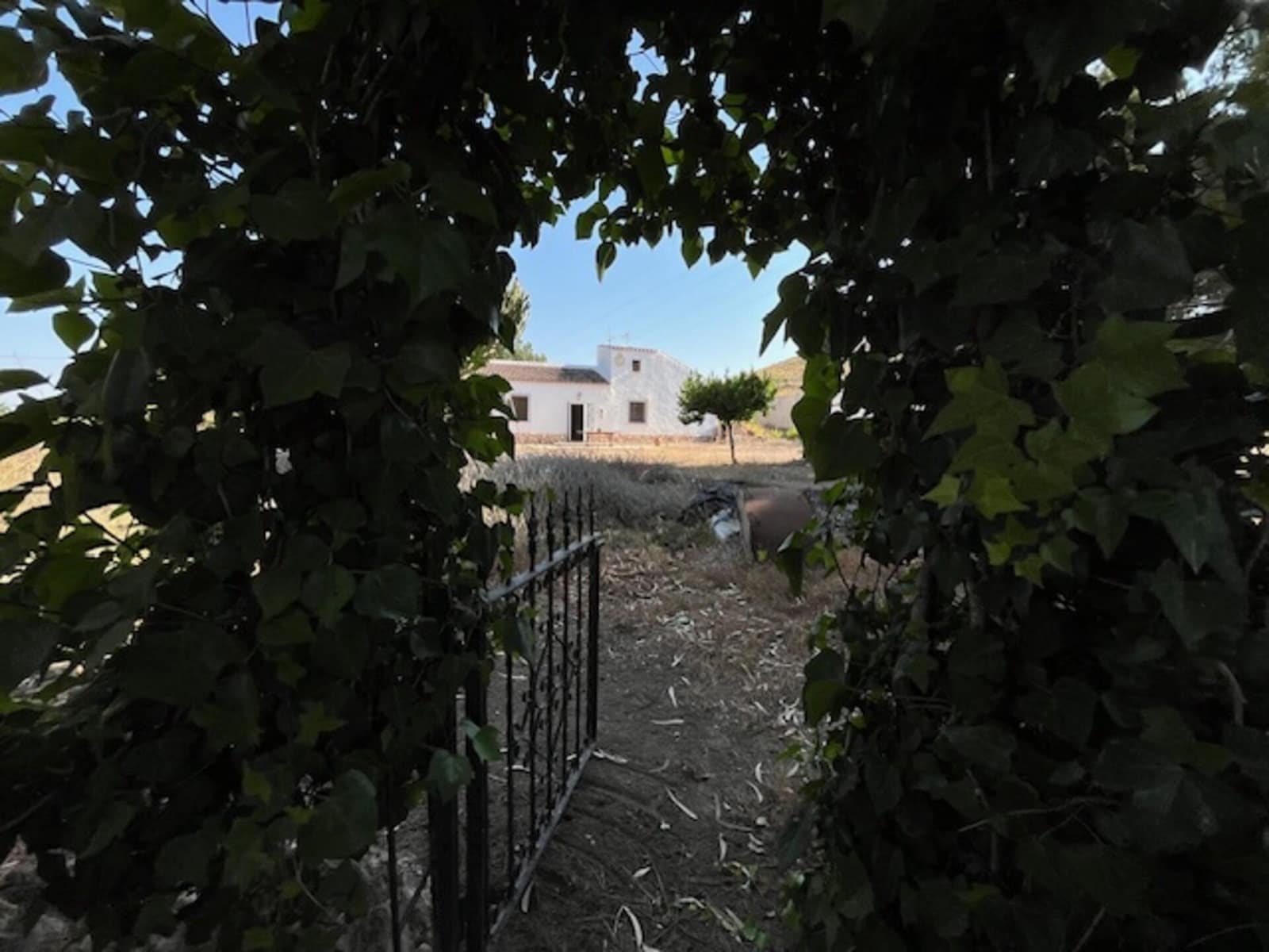Finca/Casa Rural de 3 habitaciones en Fuente Alamo de Murcia en venta - 209.000 € (Ref: 10094664)