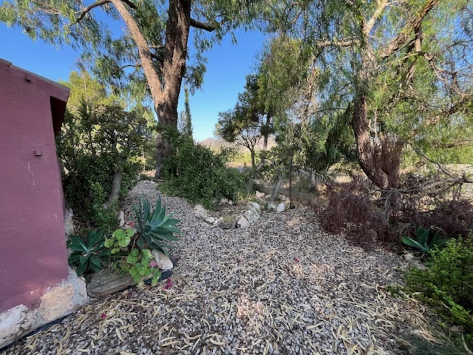 Finca/Casa Rural de 3 habitaciones en Fuente Alamo de Murcia en venta - 209.000 € (Ref: 10094664)