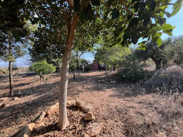 3 slaapkamer Finca/Landhuis te koop in Fuente Alamo de Murcia - € 209.000 (Ref: 10094664)