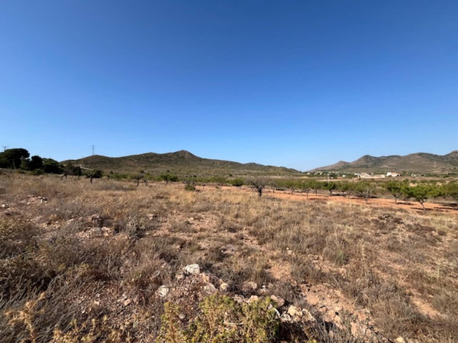 Finca/Casa Rural de 3 habitaciones en Fuente Alamo de Murcia en venta - 209.000 € (Ref: 10094664)