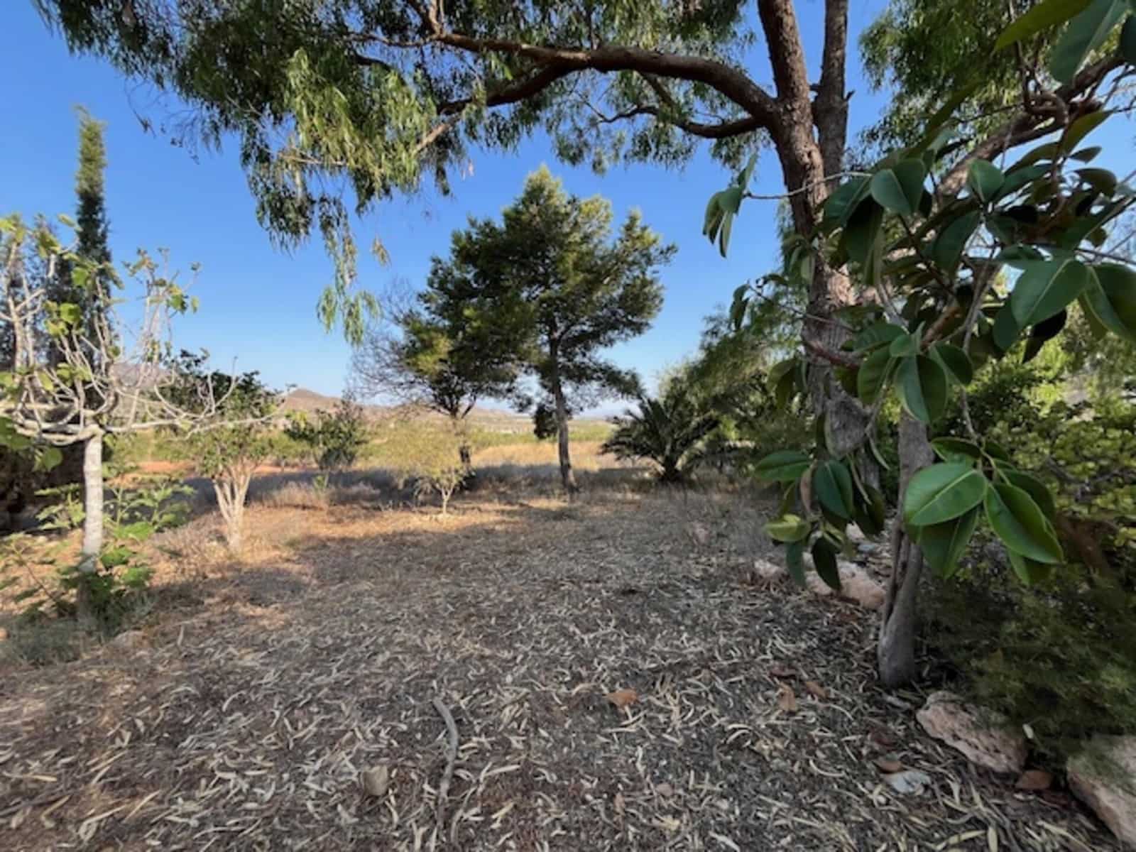 Finca/Casa Rural de 3 habitaciones en Fuente Alamo de Murcia en venta - 209.000 € (Ref: 10094664)