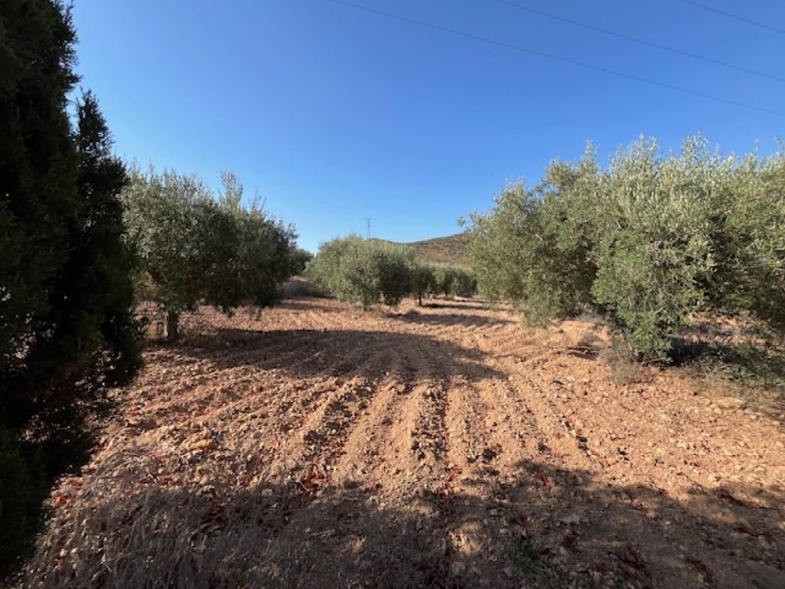 Finca/Casa Rural de 3 habitaciones en Fuente Alamo de Murcia en venta - 209.000 € (Ref: 10094664)
