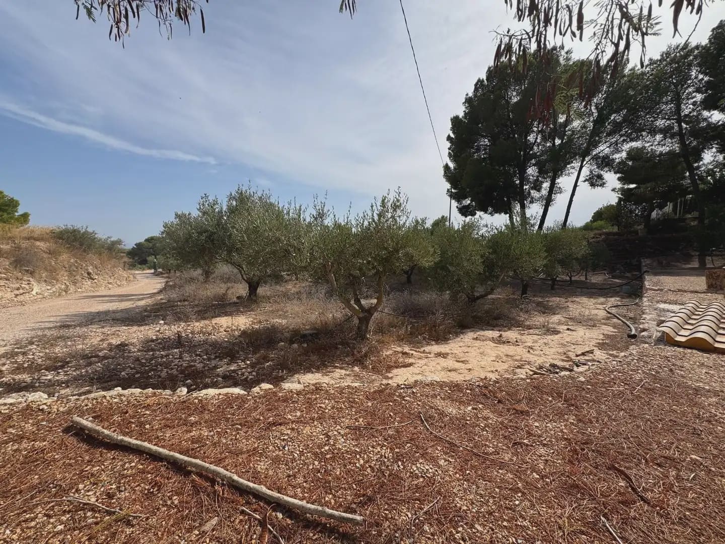 1 camera da letto Finca/Casa di Campagna in vendita in Gea y Truyols con garage - 225.000 € (Rif: 10014923)