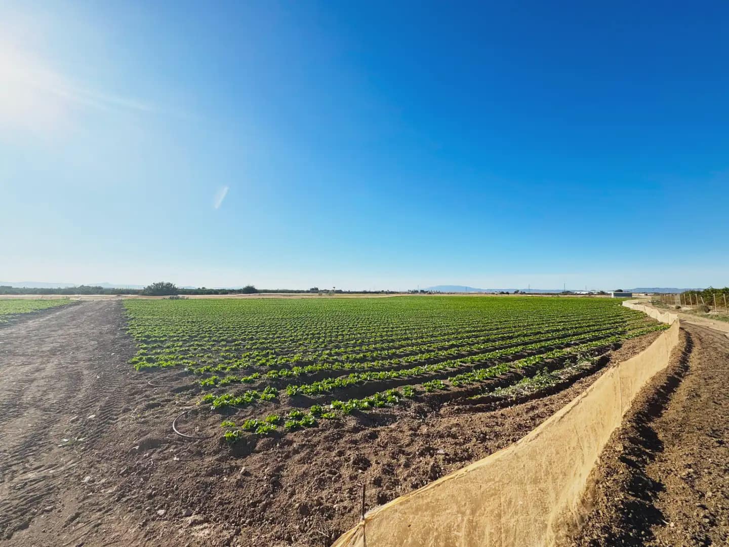 Grunde uden byggetilladelser til salg i Torre-Pacheco - € 190.000 (Ref: 9977590)