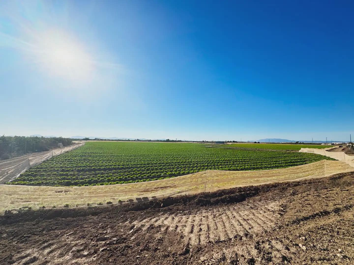 Grunde uden byggetilladelser til salg i Torre-Pacheco - € 190.000 (Ref: 9977590)