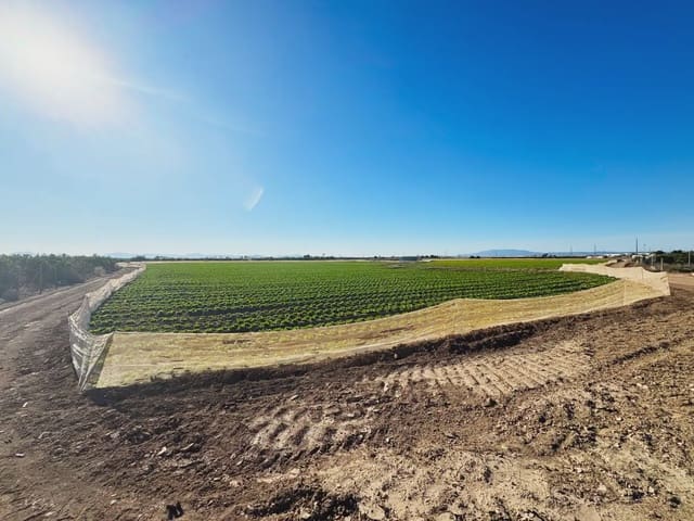 Terreno/Finca Rústica en Torre-Pacheco en venta - 190.000 € (Ref: 9977590)