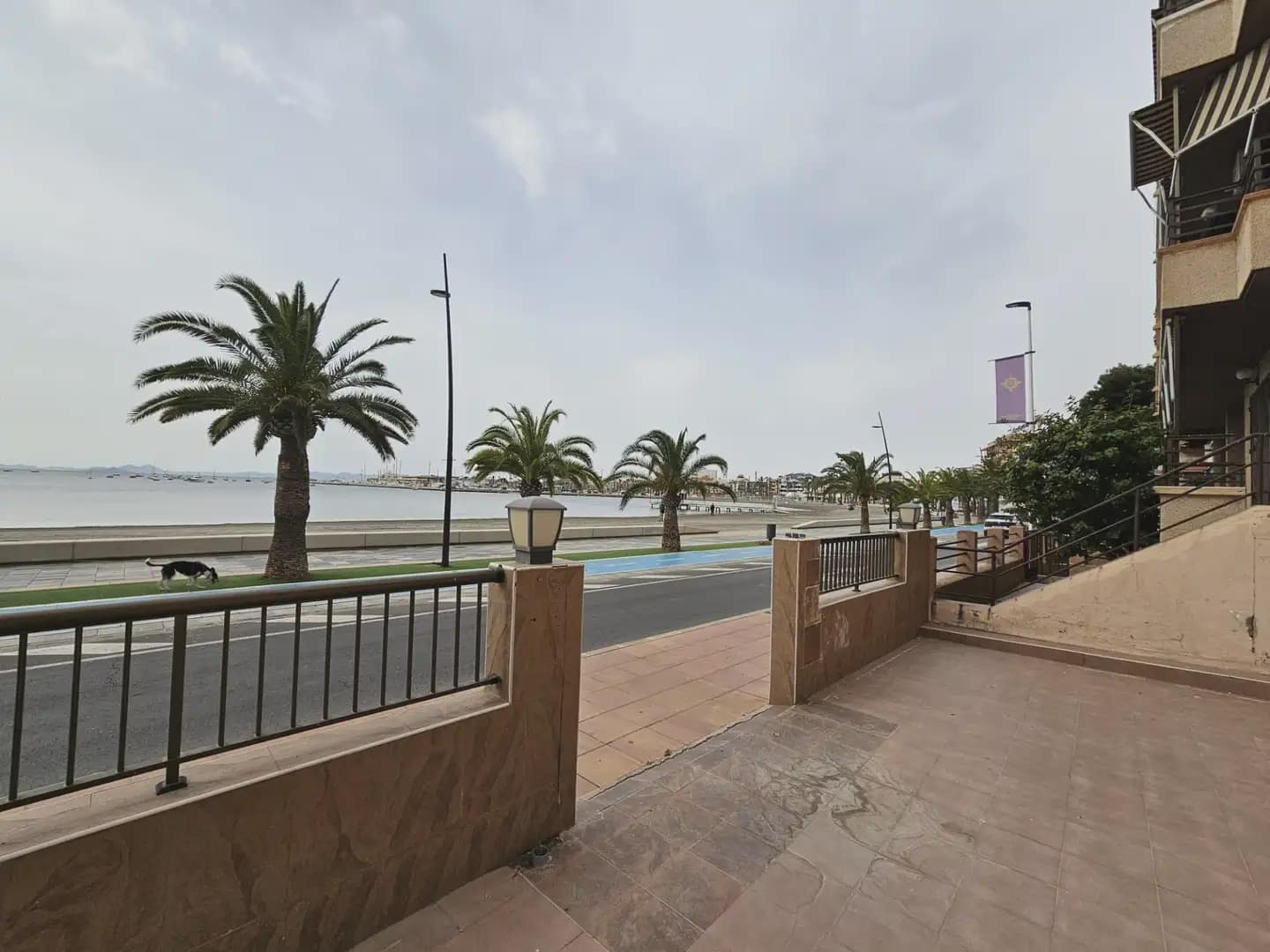 Komercyjne na sprzedaż w San Pedro del Pinatar - 513 000 € (Ref: 9977613)
