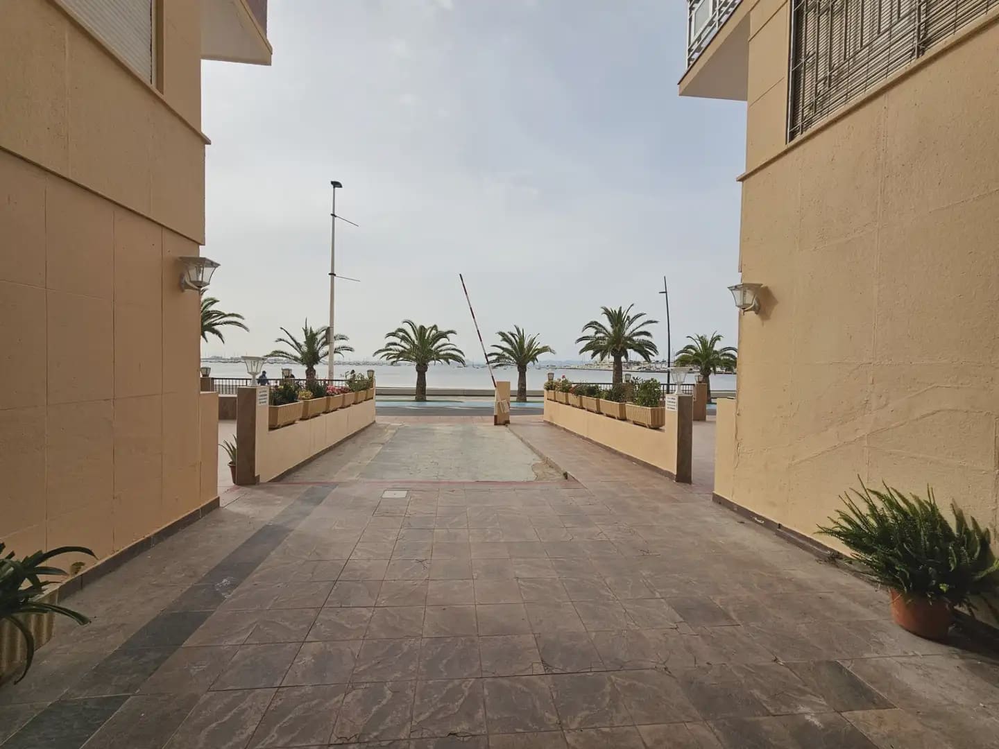 Komercyjne na sprzedaż w San Pedro del Pinatar - 513 000 € (Ref: 9977613)