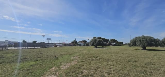 Undeveloped Land for sale in San Pedro del Pinatar ciudad, San Pedro del Pinatar - € 125,000 (Ref: 9977620)