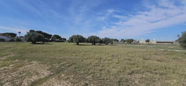 Undeveloped Land for sale in San Pedro del Pinatar ciudad, San Pedro del Pinatar - € 125,000 (Ref: 9977620)