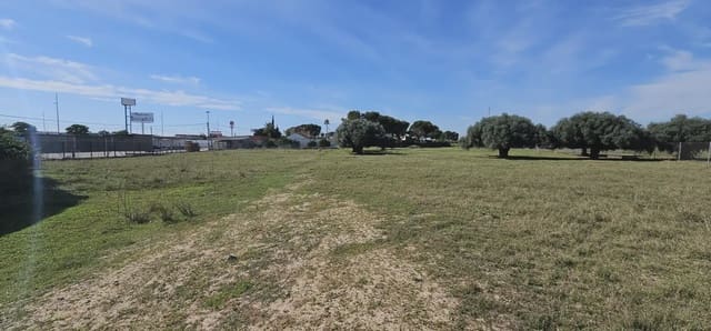 Undeveloped Land for sale in San Pedro del Pinatar ciudad, San Pedro del Pinatar - € 125,000 (Ref: 9977620)