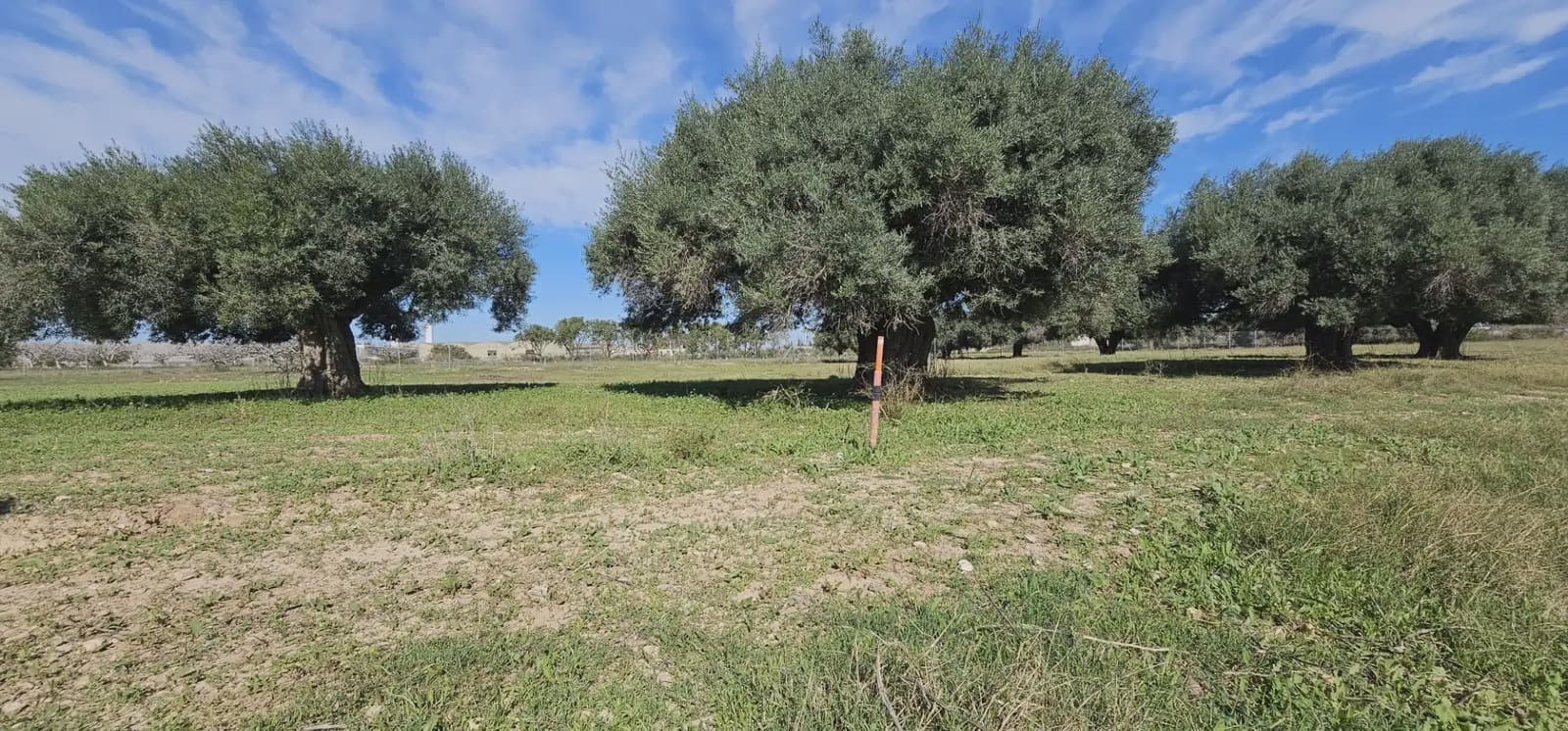 Grunde uden byggetilladelser til salg i San Pedro del Pinatar - € 125.000 (Ref: 9977620)