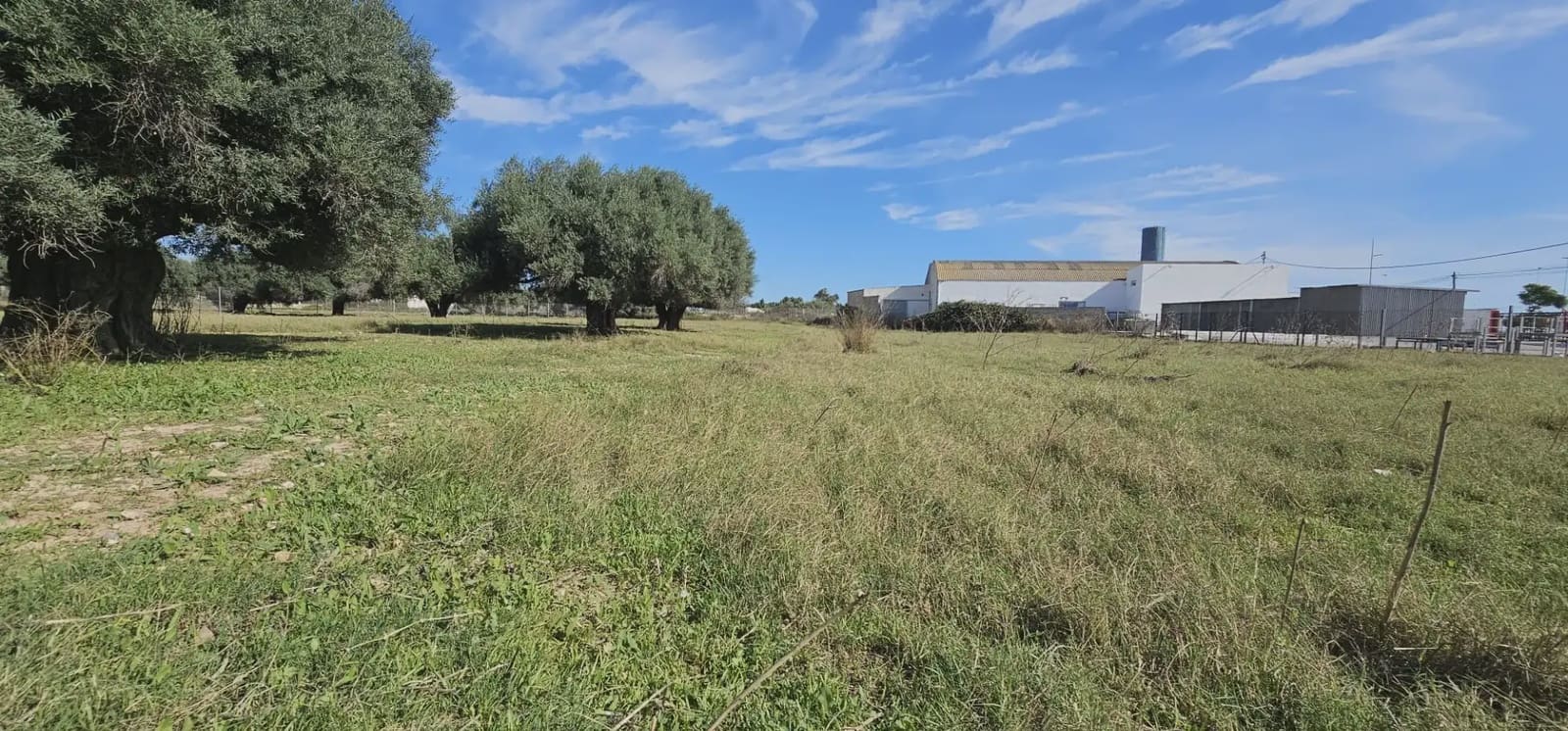 Grunde uden byggetilladelser til salg i San Pedro del Pinatar - € 125.000 (Ref: 9977620)