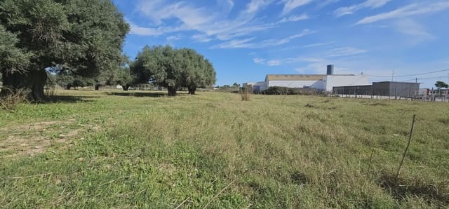 Undeveloped Land for sale in San Pedro del Pinatar ciudad, San Pedro del Pinatar - € 125,000 (Ref: 9977620)