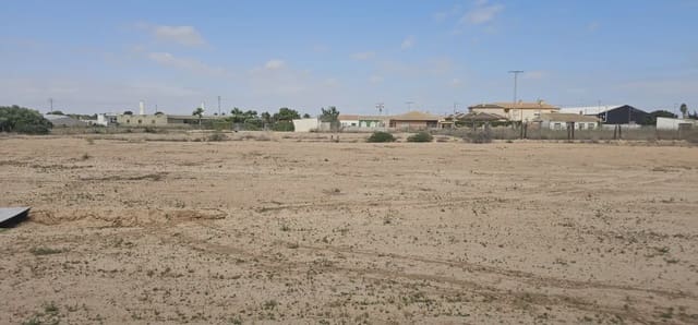 Terreno Não Urbanizado para arrendar em San Pedro del Pinatar ciudad, San Pedro del Pinatar - 1 000 € (Ref: 9977623)