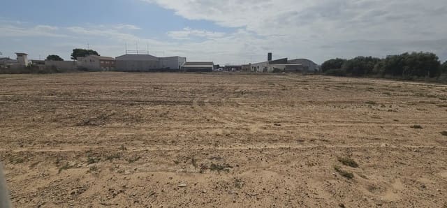 Terreno Não Urbanizado para arrendar em San Pedro del Pinatar ciudad, San Pedro del Pinatar - 1 000 € (Ref: 9977623)