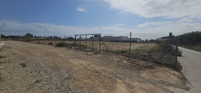 Terreno Não Urbanizado para arrendar em San Pedro del Pinatar ciudad, San Pedro del Pinatar - 1 000 € (Ref: 9977623)