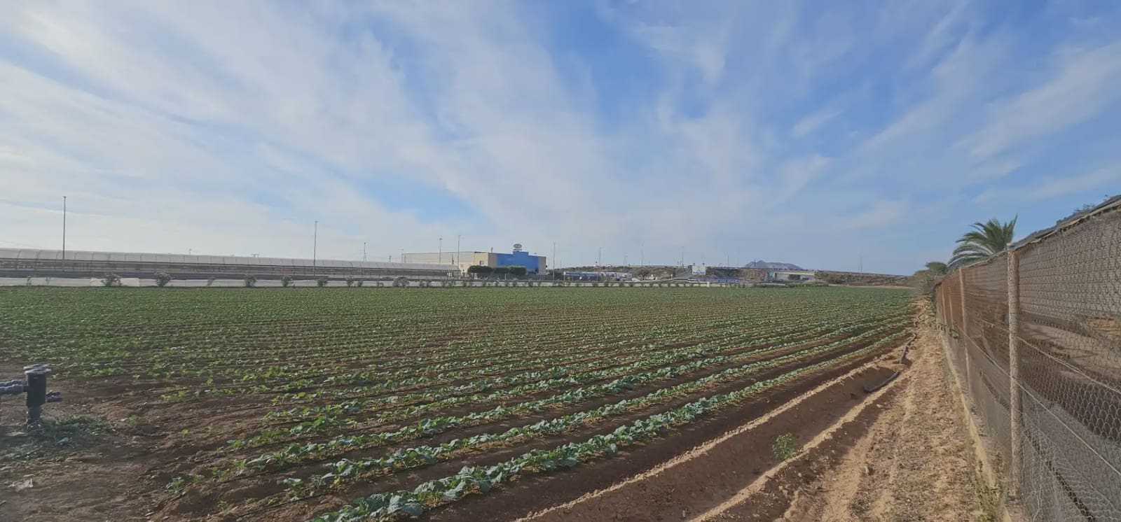 Ubebygd land til salgs i El Mirador - € 119 000 (Ref: 9977624)
