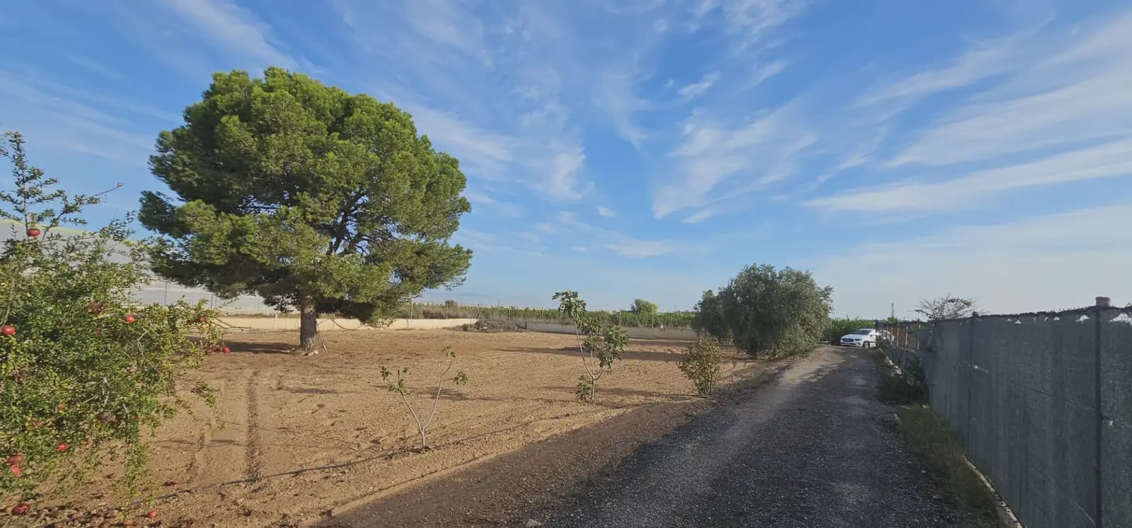 Ubebygd land til salgs i El Mirador - € 119 000 (Ref: 9977624)