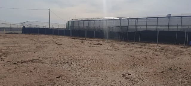 Undeveloped Land for sale in San Pedro del Pinatar ciudad, San Pedro del Pinatar - € 75,000 (Ref: 9977636)